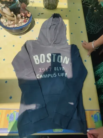 Sweat a capuche bleu gris