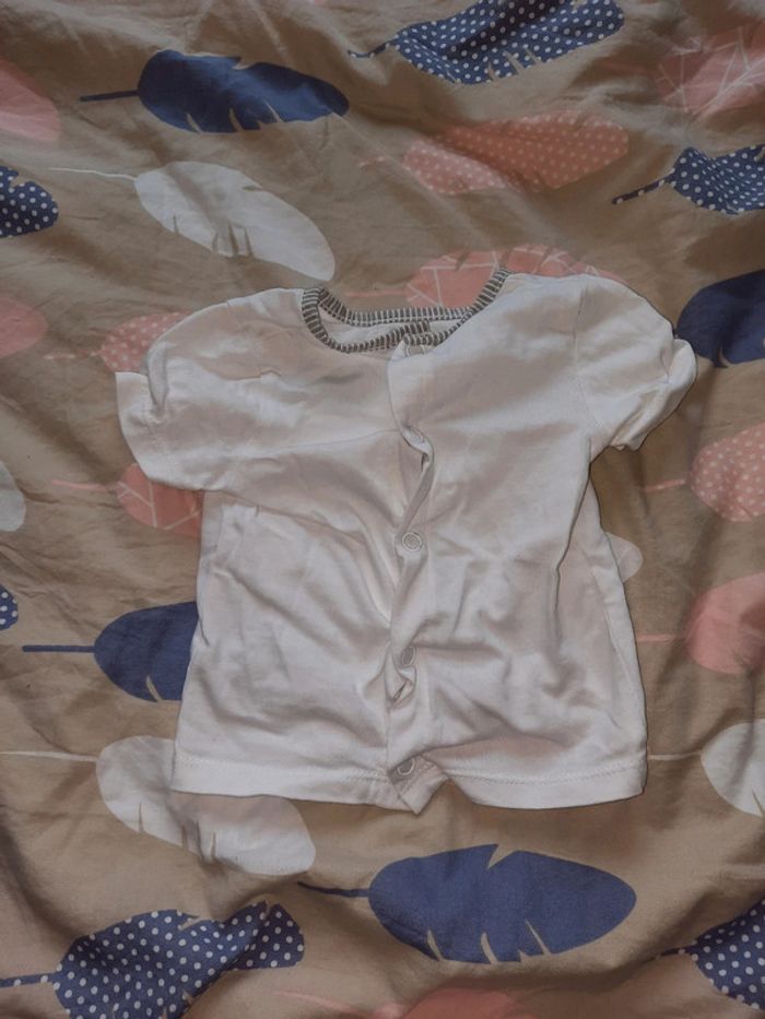 Ensemble - photo numéro 3