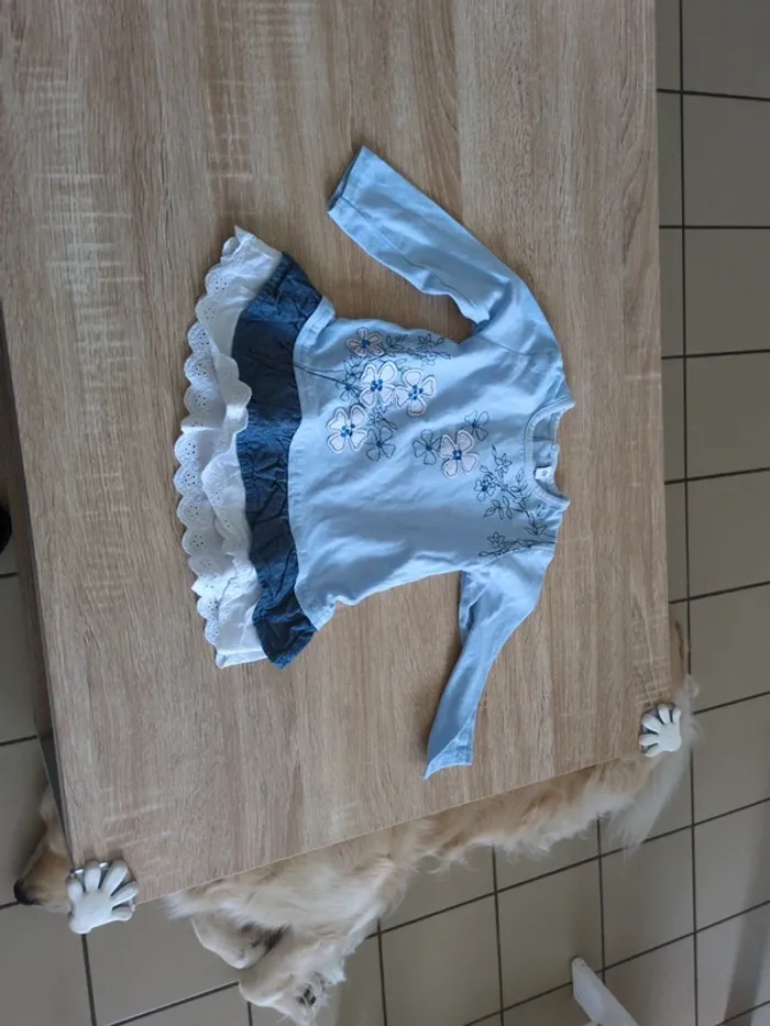 Petite robe manches longues 12 mois