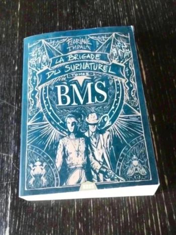 La Brigade Du Surnaturel / Tome 2