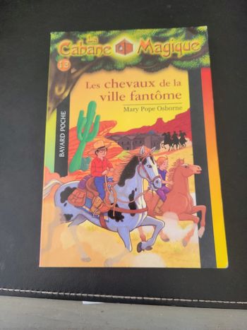Livre la cabane magique 13