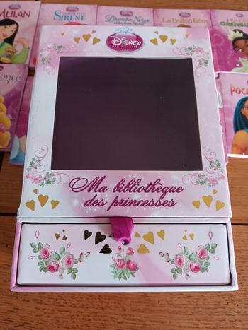 Ma bibliothèque de princesses Disney