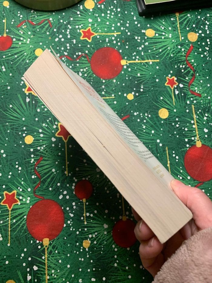 Star roman - photo numéro 4