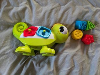 Caméléon Infantino