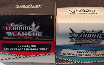 Display tripack ev10.5 vide