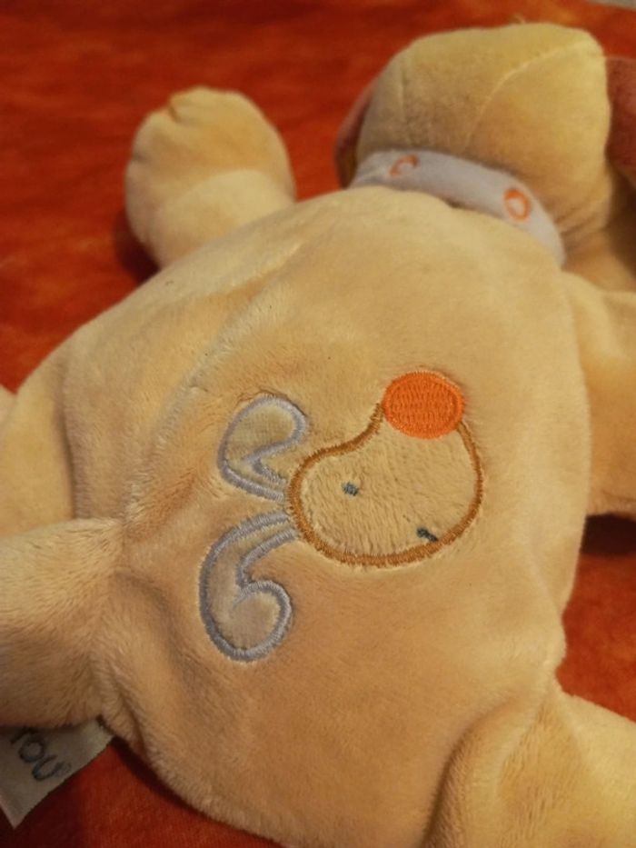 Bonjour , le chien de Nattou, 28 cm de longueur - photo numéro 5