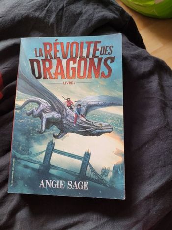La révolte des dragons livre 1 Angie Sage
