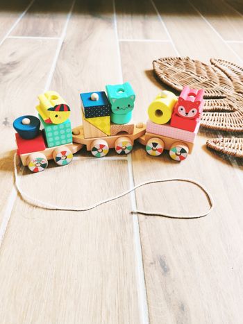 🐤Baby forest Train à blocs/formes à empiler en bois marque Janod