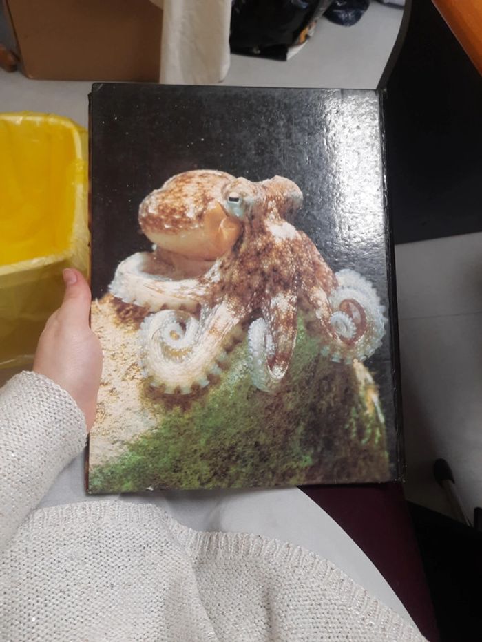 Grand livre illustré édition de lagora - photo numéro 2