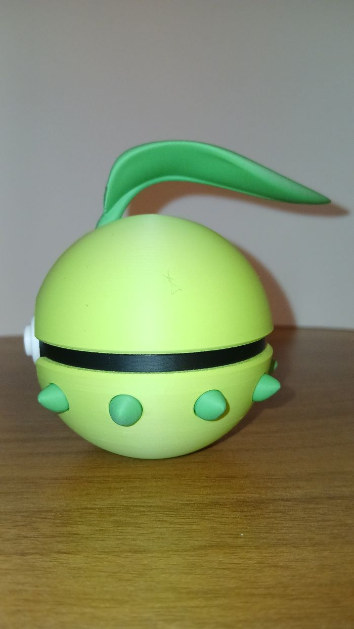 Pokeball Germignon - photo numéro 2