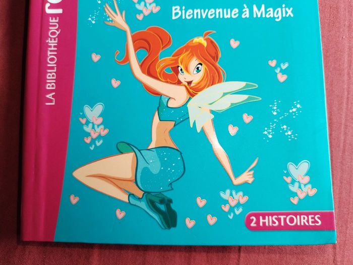 Livre Winx club - photo numéro 8