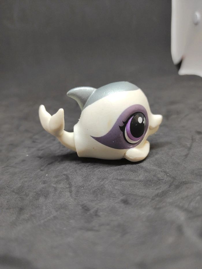 my Littlest Petshop Lps Pet Shop Dolphin Dauphin Pc 131 #geektradelpsdauphin - photo numéro 3