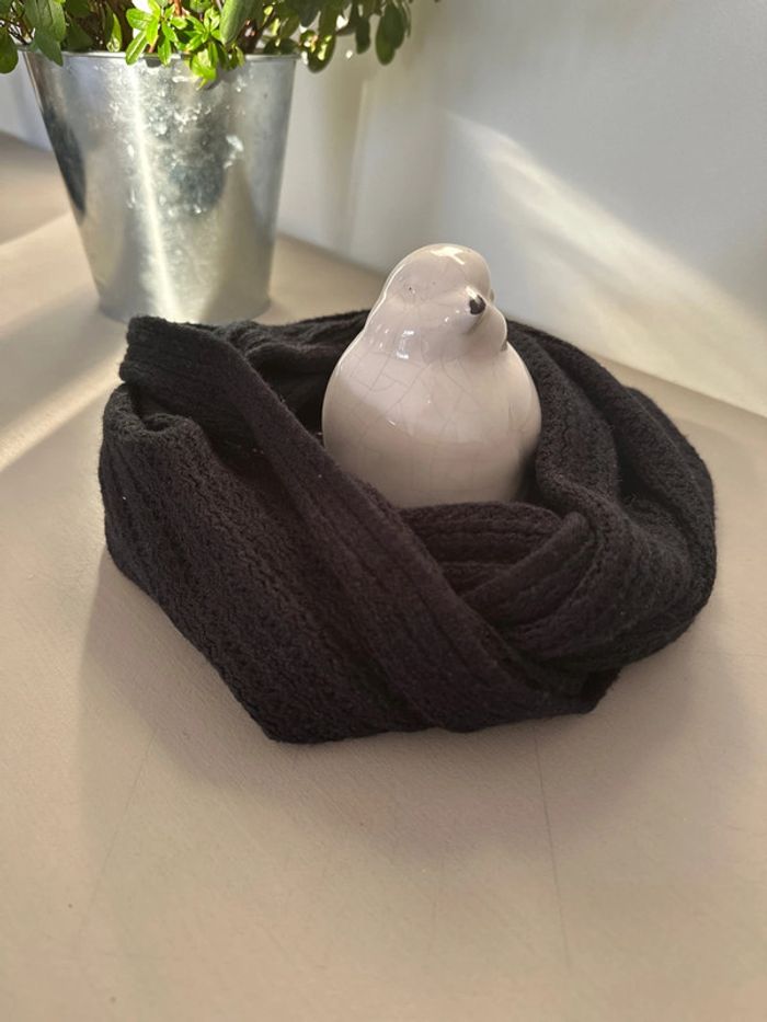 Tour de cou noir - photo numéro 5