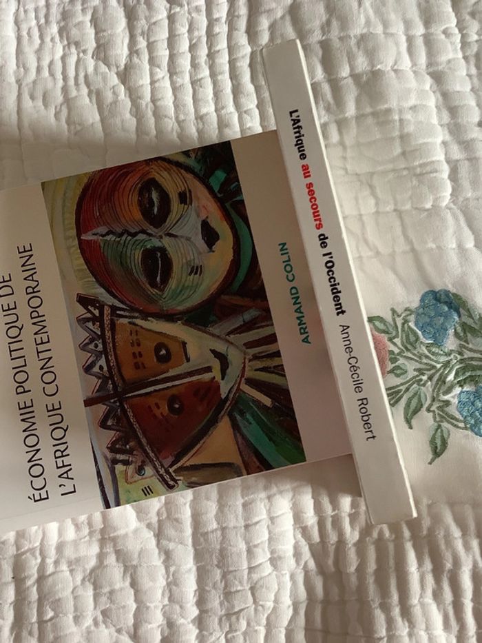 L’Afrique au secours de l’occident, par Anne-Cecile Robert - photo numéro 4