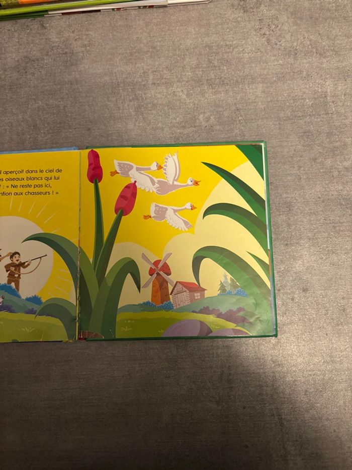 Livre le vilain, petit canard - photo numéro 3