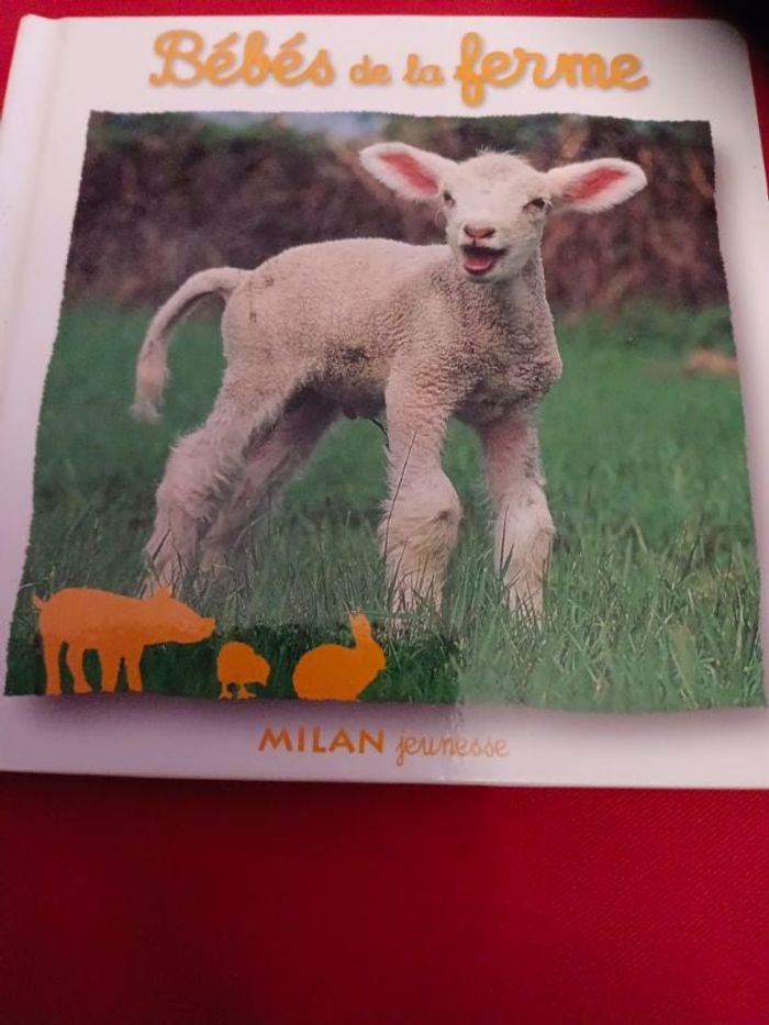 Livre enfant 2-5 ans