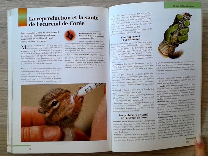 votre petit rongeur, le comprendre, le nourrir, le soigner, connaître les espèces - photo numéro 8