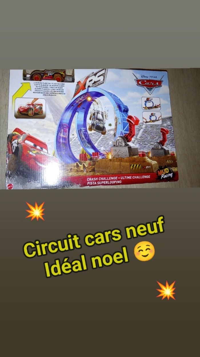 Circuit cars