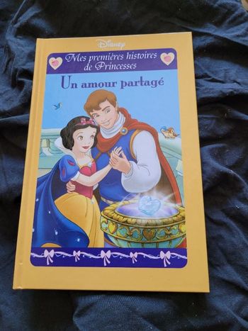 Mes premières histoires de princesse un amour partagé