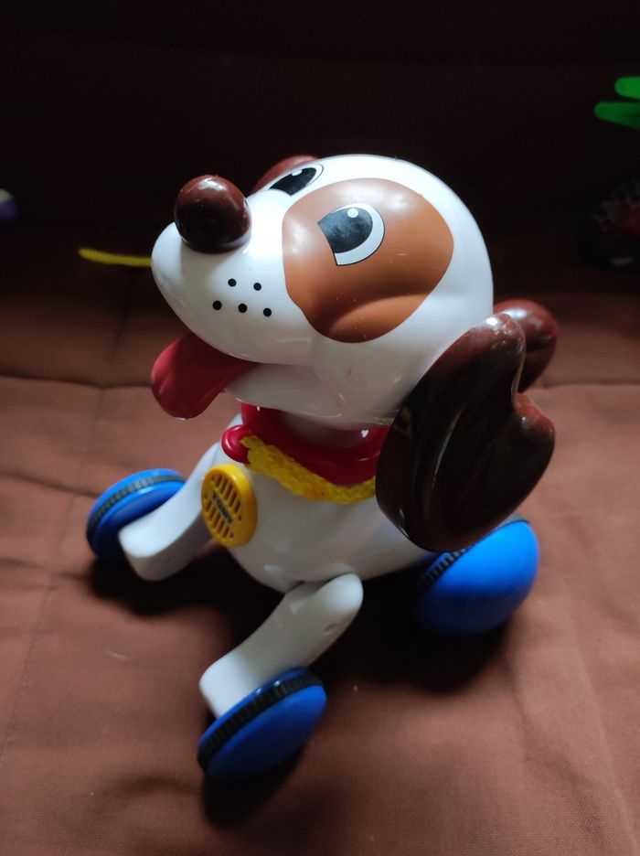 Chien tomy - photo numéro 2