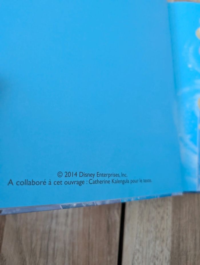 Lot livres : Les grands classiques de Disney - photo numéro 16
