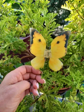 Pince a cheveux papillon