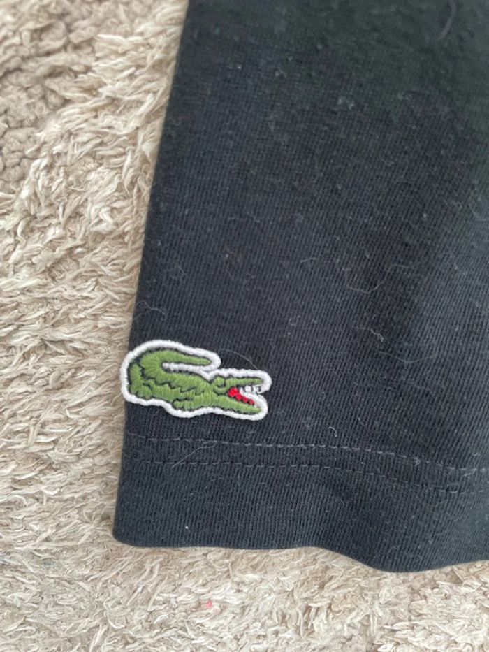 T-shirt Lacoste Xs - photo numéro 2