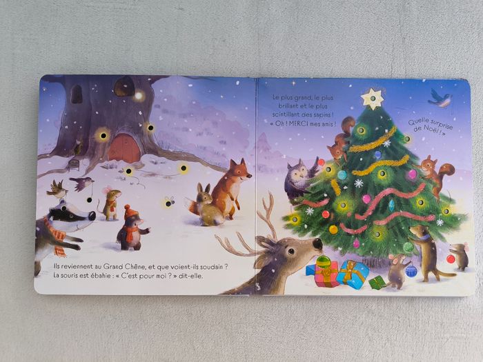 Livre Brille, brille petit sapin de Noël Usborne - photo numéro 5