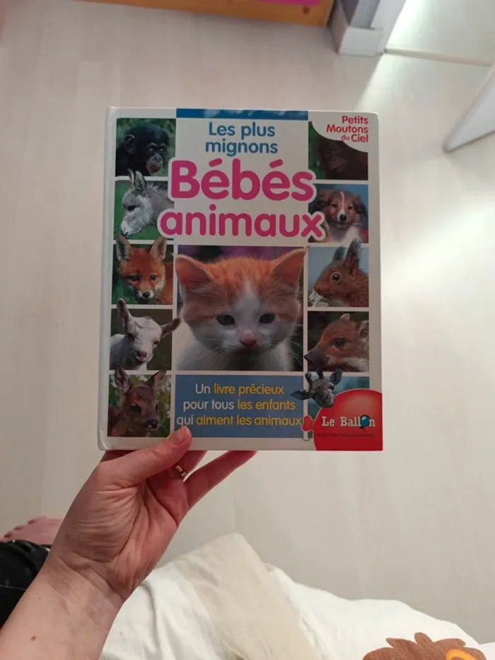 Les plus mignons bébé animaux