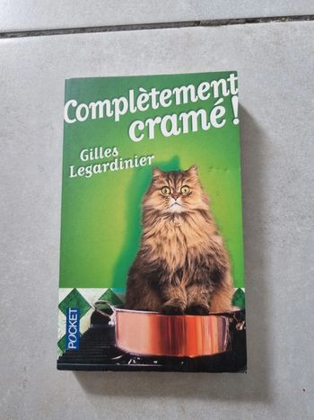 Complètement cramé livre