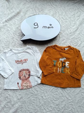 Lot de 2 Tee shirt manches longues Garçon 9 mois lion sourire ravageur rhinocéros together Tao