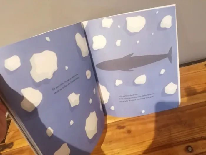 Livre la mysterieuse baleine #livres_krocaro - photo numéro 6