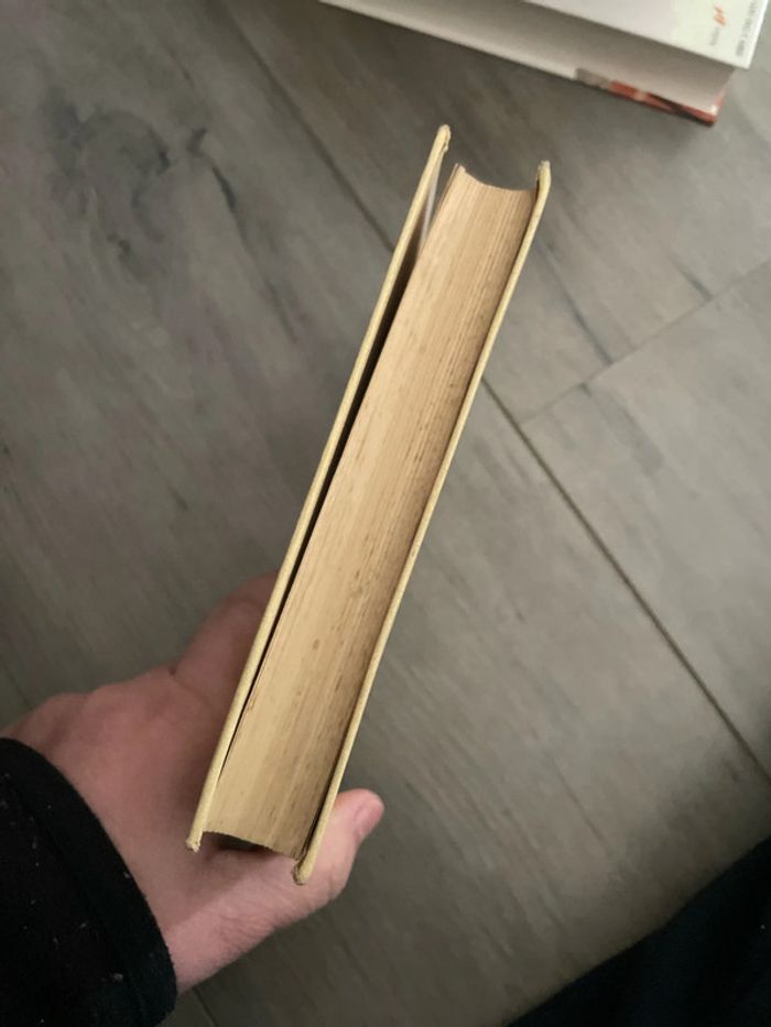 Ivanhoe - photo numéro 4