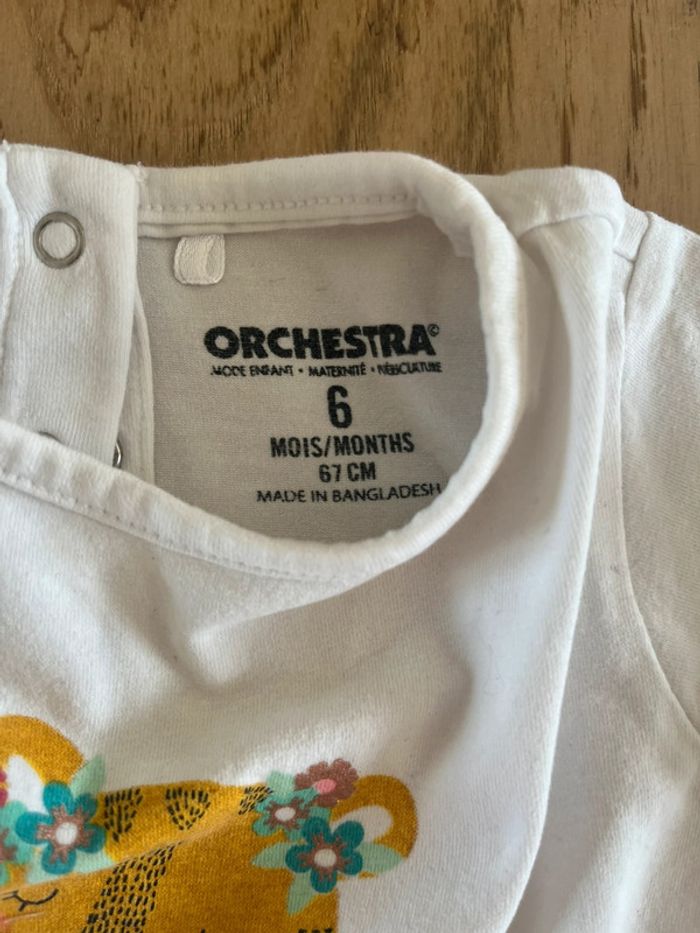 Tee-shirt tigre 6 mois – Orchestra - photo numéro 4