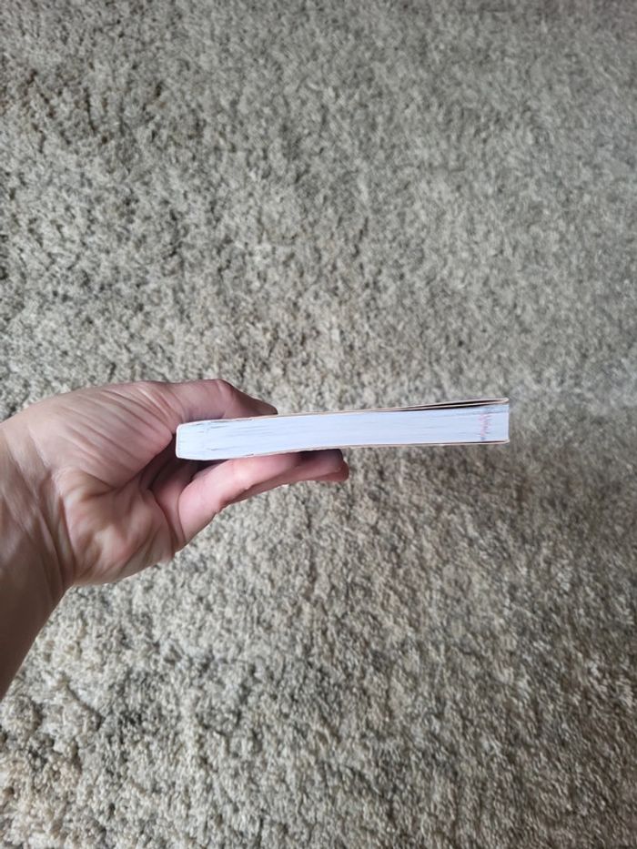 Livre fiche BAC - photo numéro 6