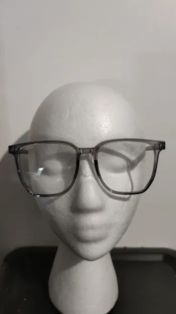 lunettes fantaisies en plastique
