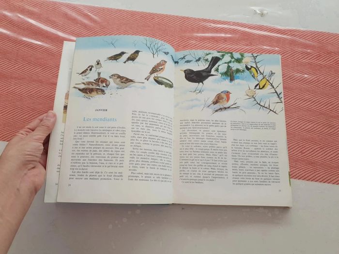Livre vintage la nature - photo numéro 15
