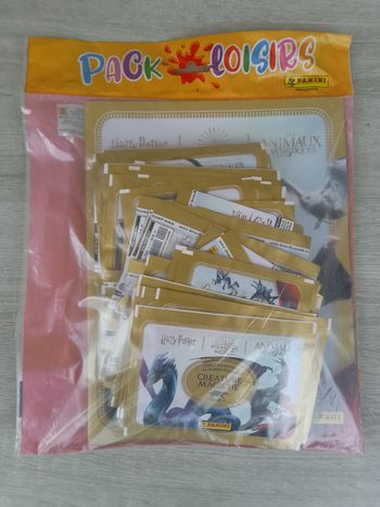 Pack loisirs Harry Potter panini