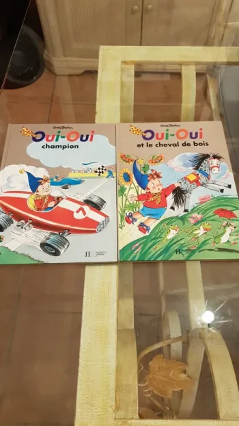 Lot 2 livres Oui oui