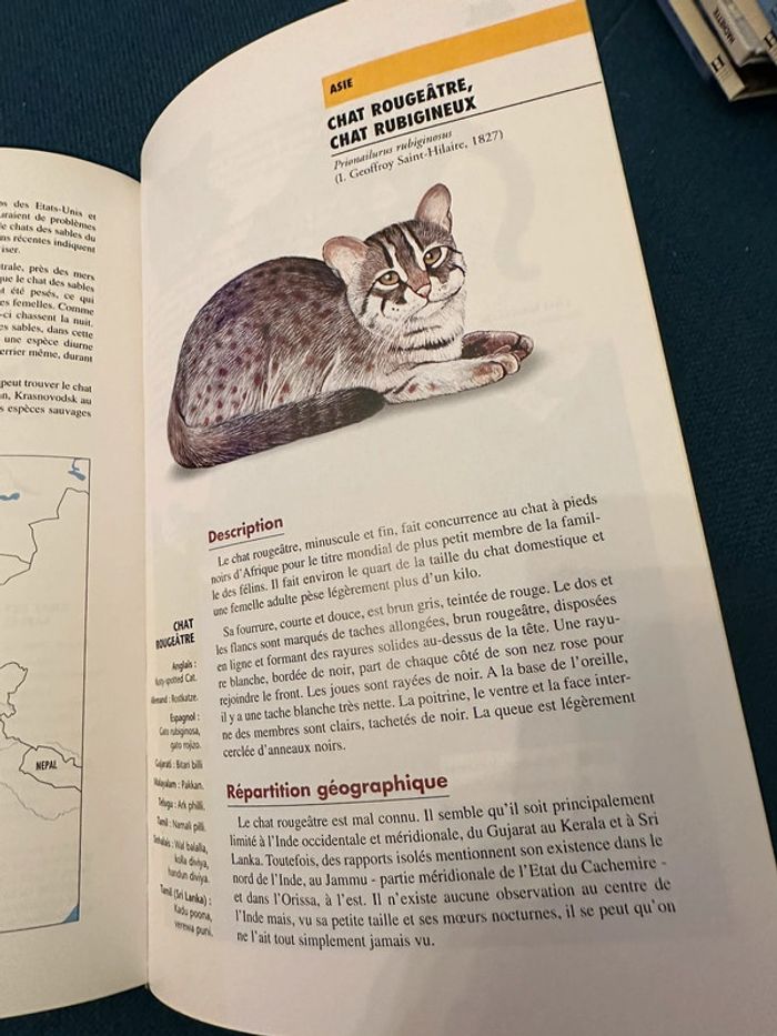 Livre rare Robert Dallet Les félins toutes les espèces du monde bibliothèque du naturaliste - photo numéro 3