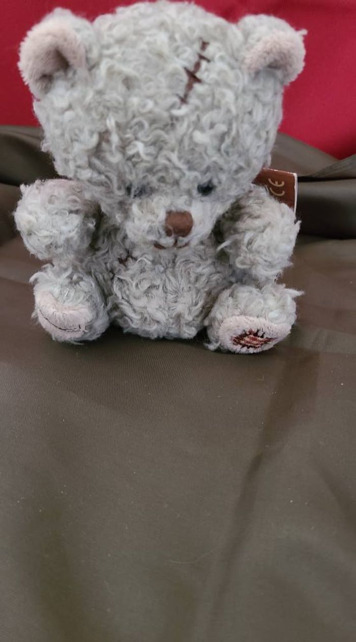 Ours gris bouclette avec cicatrice - Bukowski - photo numéro 5