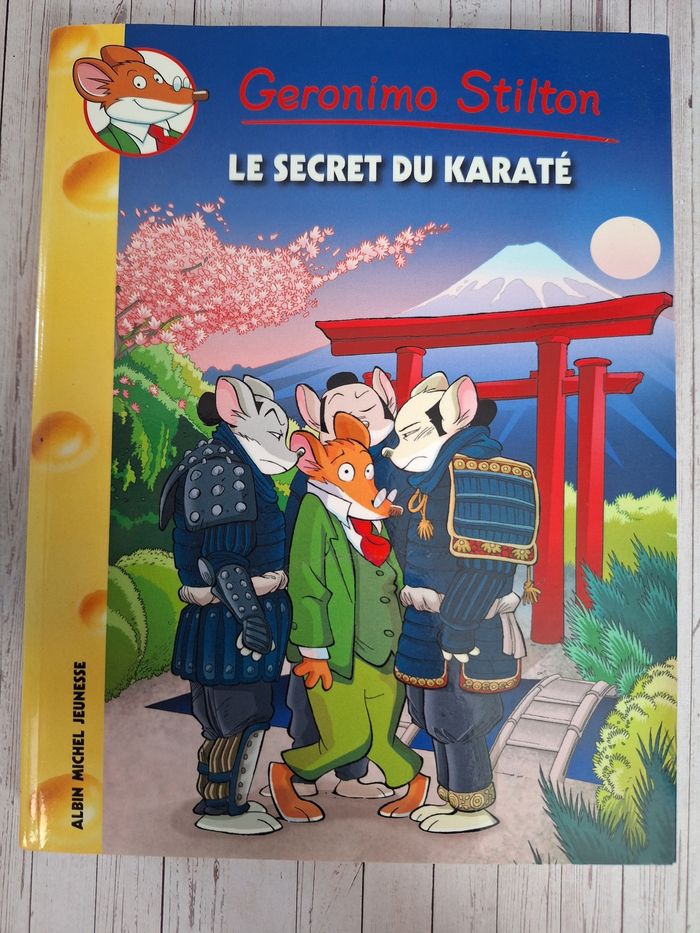 Livre enfant jeunesse Geronimo Stilton