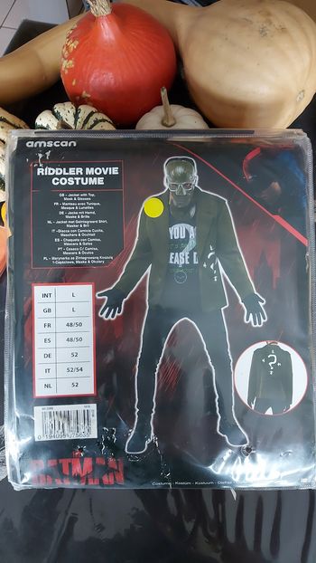 Costume/déguisement