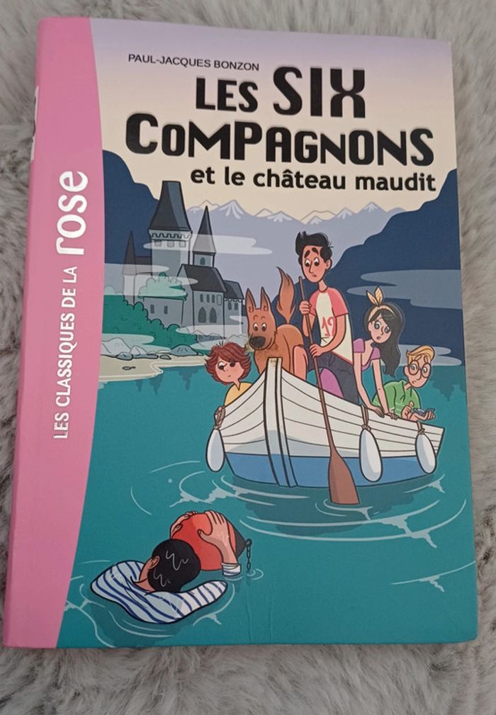Lot de 20 livres pour enfants de 6 à 11 ans - photo numéro 10