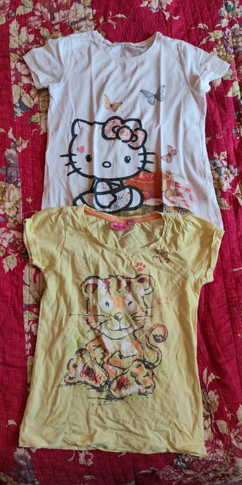 Lot 2 tee shirt 9/10 ans