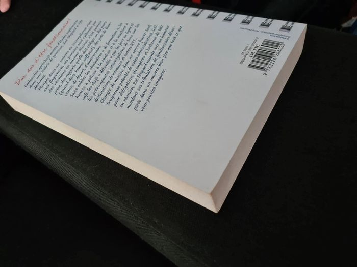 Livre absolument débordée - photo numéro 3