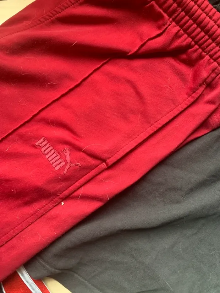 Lot de short de sport adidas - photo numéro 3