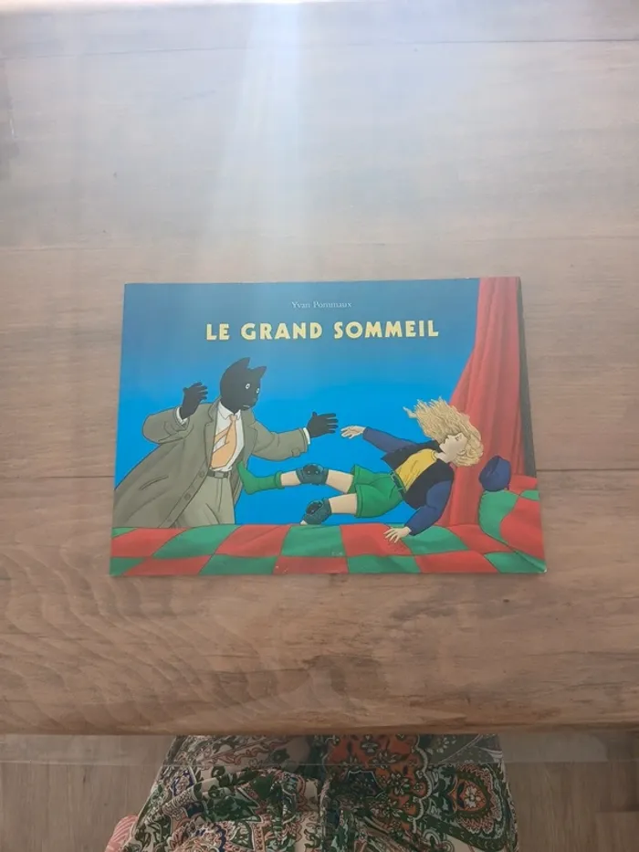 Le grand sommeil yvan pommaux