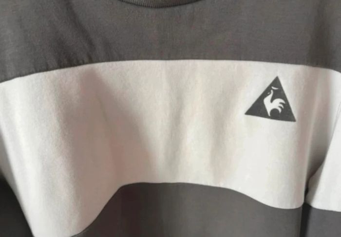 Pull blanc et gris le coq sportif - photo numéro 2