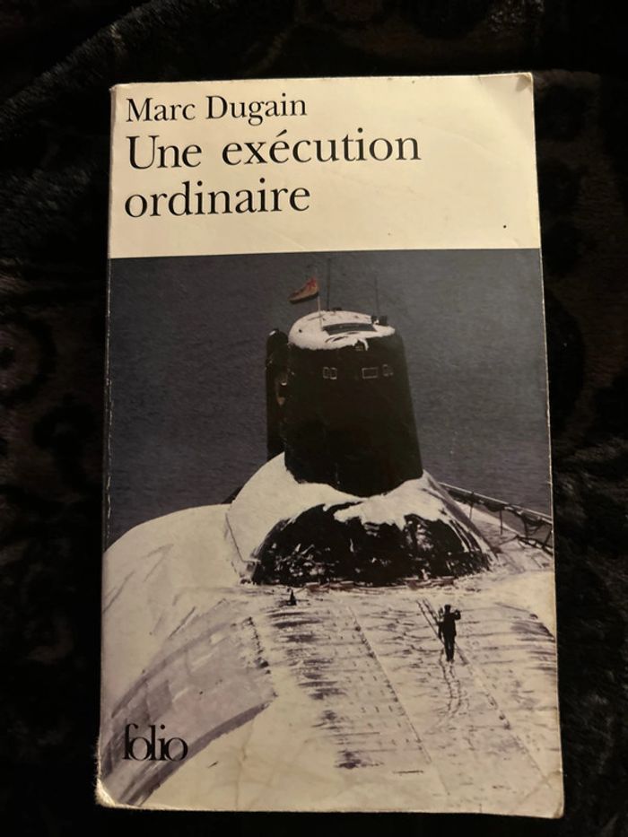 une exécution ordinaire